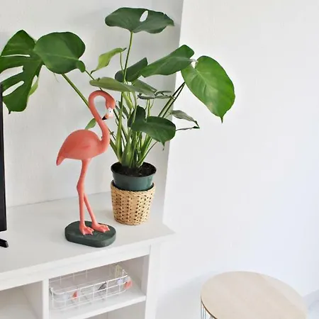 Appartement Apartamento Monstera - Centro