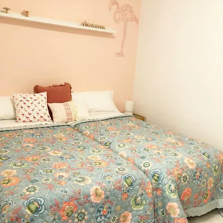 Appartement Apartamento Monstera - Centro Torrevieja